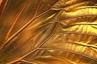 Golden Birdwing Butterfly wing texture accessories aluminium.