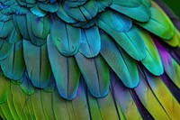 Green-headed Tanager Bird Wing bird clothing apparel.