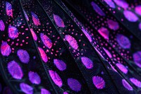 Purple Spotted Swallowtail Butterfly wing purple accessories accessory.