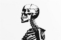 Skeleton skeleton person adult.