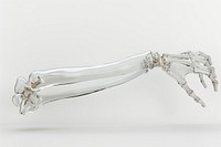 Human arm bone electronics hardware tongs.