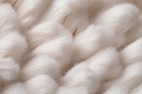Cotton animal mammal wool.