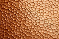 Flat paper texture honeycomb reptile person.