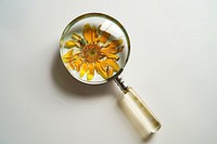 Flower resin magnifying glass shaped smoke pipe.