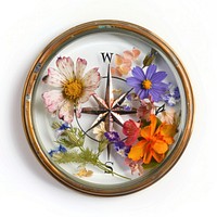 Flower resin compass shaped art asteraceae painting.