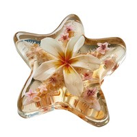 Flower resin starfish shaped accessories accessory jewelry.