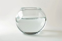 Photo of a empty fishbowl pottery animal glass.
