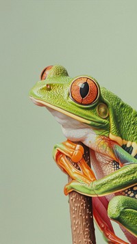 Drawing wallpaper cute frog amphibian wildlife animal.