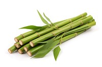 Bamboo plant white background asparagus.