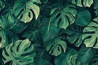 Monstera texture vegetation outdoors jungle.