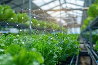 Smart farm greenhouse vegetation gardening.