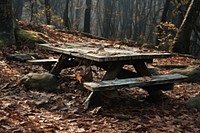 Weathered wooden picnic table in a forest clearing bench vegetation furniture.