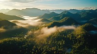 Jungle at sunrise rainforest tree aerial view.