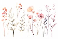 Spring and summer Background flower illustrated graphics.