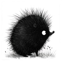 Porcupine rat hedgehog animal.