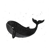 Whale art animal mammal.