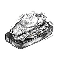 Sketch invertebrate illustrated seashell.