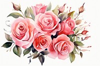 Roses graphics painting blossom.