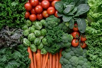 A display of fresh vegetables in the grocery store kale produce plant.