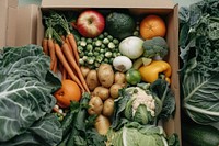 Cardboard box vegetable produce orange.