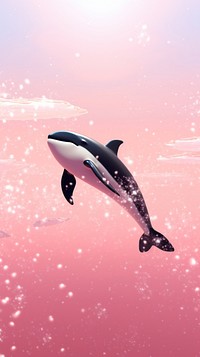 Orca whale animal dolphin mammal.