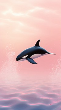 Orca whale animal dolphin mammal.