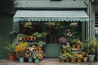 A front view of a olive green modern and elegant flower shop awning pot cookware.