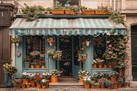 A front view of an elegant flower shop christmas festival blossom.