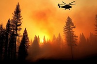 A helicopter carrying water to extinguish forest fires tree transportation vegetation.