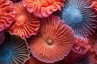 Colorful coral texture outdoors mushroom pattern.