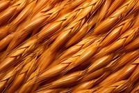 Grain texture produce person wheat.