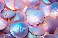 Hologram pastel sea shells texture invertebrate seashell seafood.