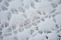 Snow winter texture white foam.