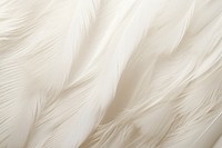 White feather texture clothing apparel fashion.