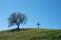 Cross on the hill graveyard outdoors cemetery.