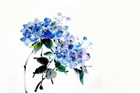 Hydrangea Japanese minimal painting art graphics.
