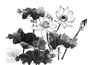 Lotus Japanese minimal art illustrated graphics.