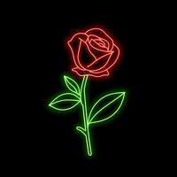 Red rose icon neon astronomy outdoors.