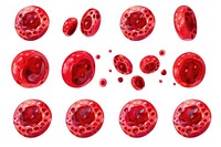 Infected blood cells pomegranate accessories accessory.