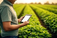 Farmer Plantation checking quality by tablet agriculture photo electronics.