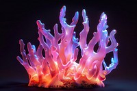 Neon coral invertebrate outdoors animal.