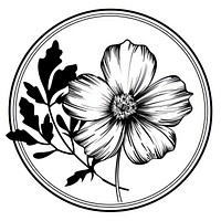 Cosmos flower illustrated graphics drawing.