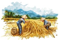 Farmers tying up and carrying sheaf next to some rice countryside agriculture outdoors.