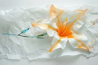 Jasmine flower paper art blossom.