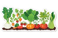 Vegetable garden produce plant food.