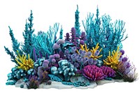 Turquoise coral reef nature ocean sea.
