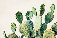 Cactus person plant human.