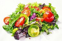 Salad vegetable produce plant.