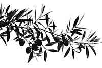 Olive art illustrated drawing.