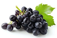 Black grapes produce fruit plant.